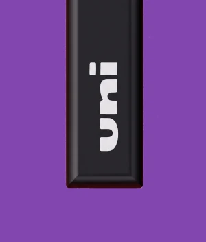 Posca Brush PC-5BR Violet